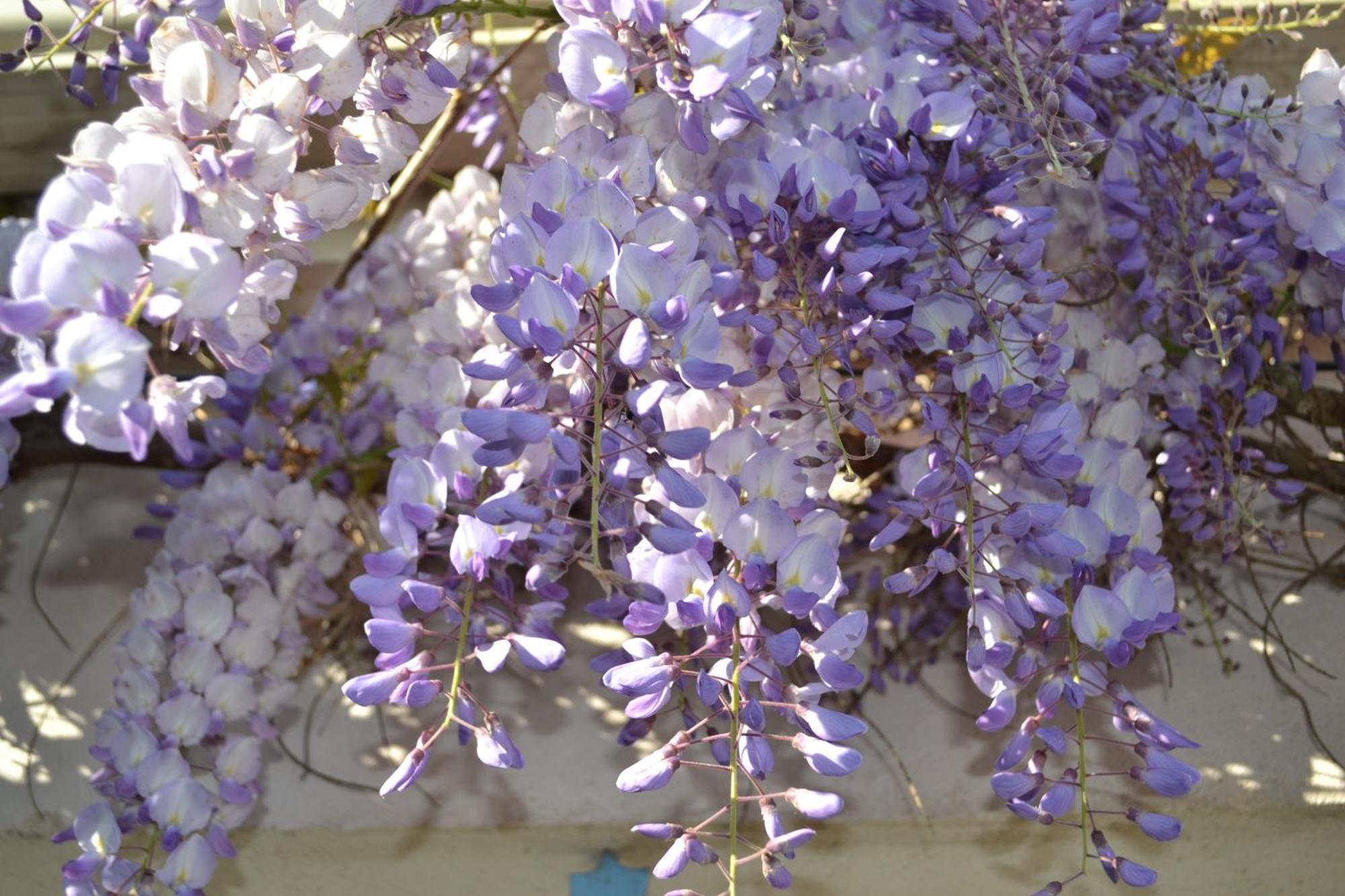 L'Instant Bleu Ξενοδοχείο Marans  Εξωτερικό φωτογραφία